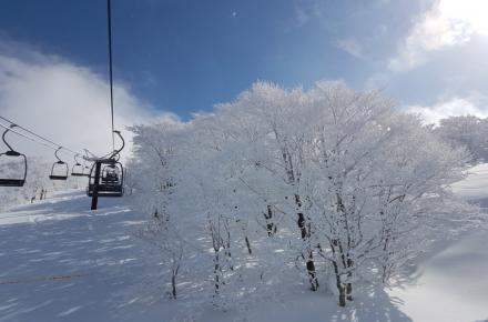 b000edce25498f6d256179730cb64103_1730212573_12.jpg b000edce25498f6d256179730cb64103_1730212573_12.jpg