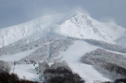 b000edce25498f6d256179730cb64103_1730212573_1495.jpg b000edce25498f6d256179730cb64103_1730212573_1495.jpg