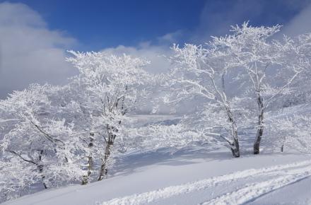 b000edce25498f6d256179730cb64103_1730212573_1729.jpg b000edce25498f6d256179730cb64103_1730212573_1729.jpg