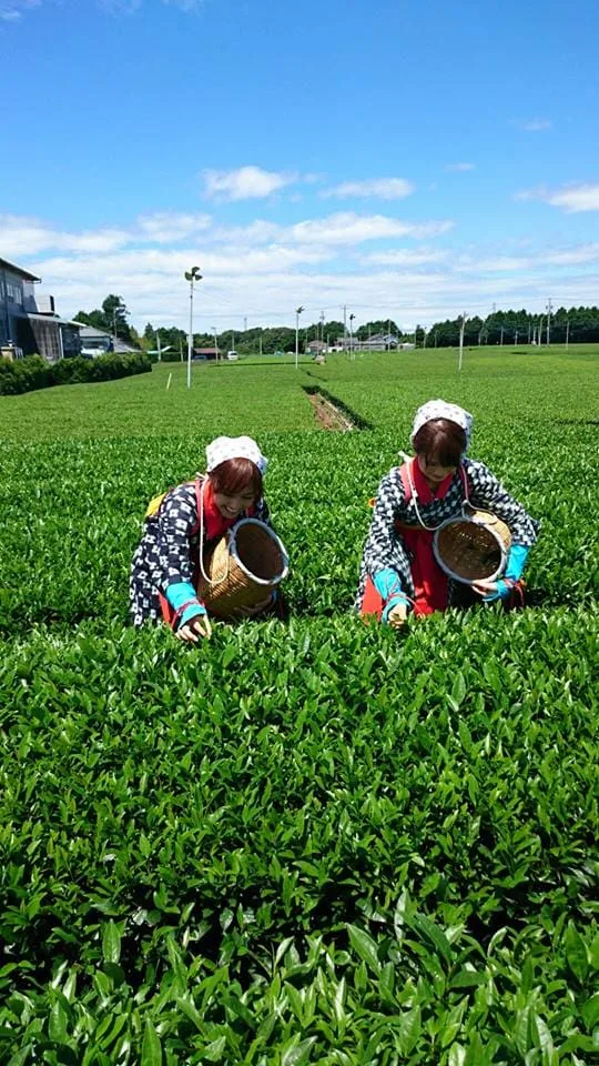 638c46cc7d25976689973d32e7c21d19_1739423657_1263.webp 638c46cc7d25976689973d32e7c21d19_1739423657_1263.webp